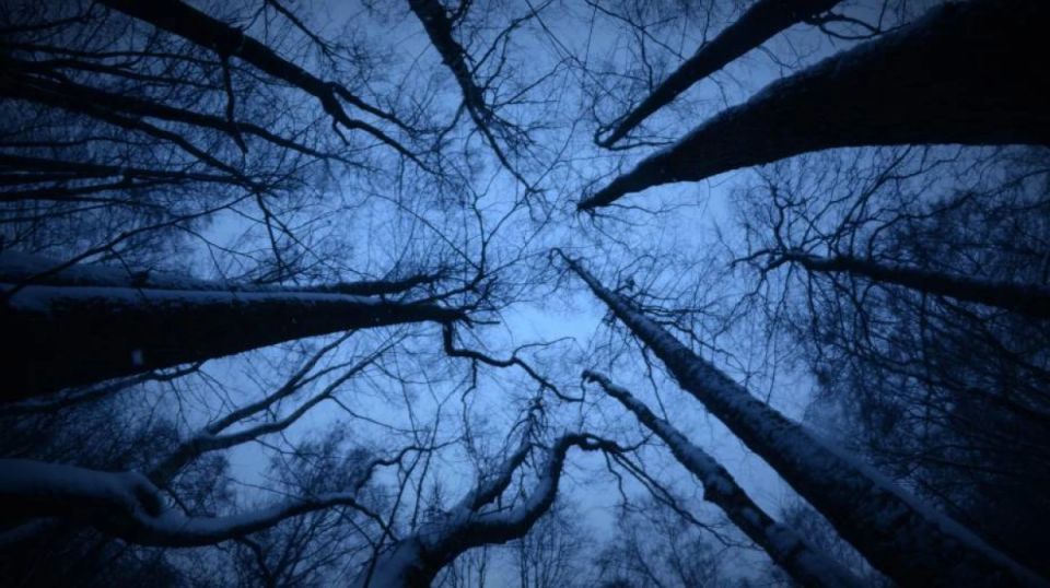 За неделю троих пропавших воронежцев нашли мертвыми