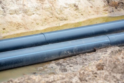 � ���� ����� �������� 1 ������ �������� �������� ����