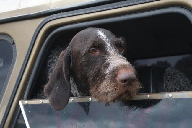 � ����������� ������� ���������� ����������� �������� ��-�� ������� ���������