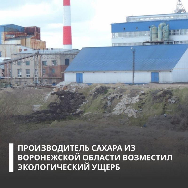 По требованию Росприроднадзора ООО «Кристалл» добровольно компенсировало вред, причиненный почвам