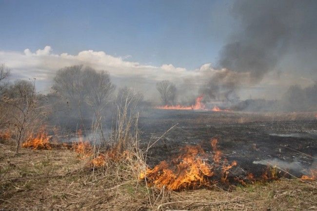 МЧС повысило уровень пожарной опасности в 28 районах Воронежской области
