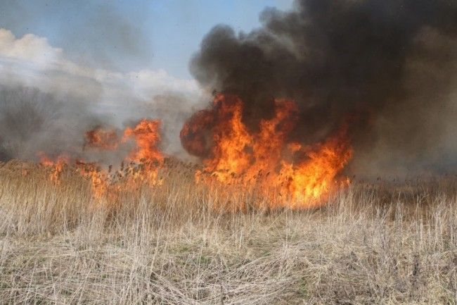 ��������� ��������� ��������� ������ � ������� ����� � ����� ����������� �������