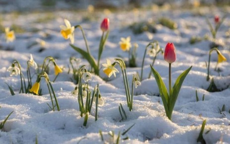 ������� ��������� ������ ������ ������, � ��� ������, ��� ����� ������������ �������� � ���� �����