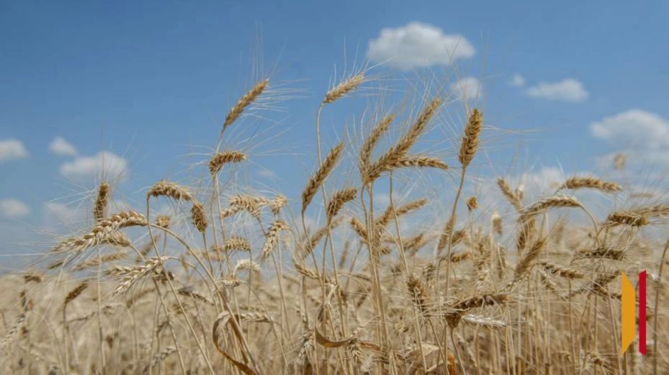 � 2026 ���� � ����������� ������� ��-�� ������ ������� 4,2 ��� ���� ����������