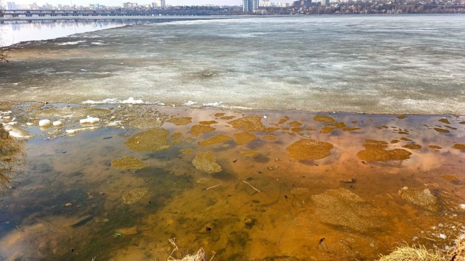 �� ����������� ������������� ��� ���� �������