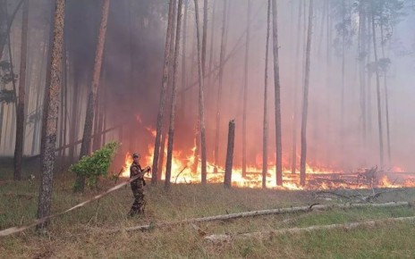 За нарушение правил пожарной безопасности в лесах воронежцам грозят штрафы до 400 тысяч рублей