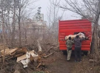 «Легкие Воронежа» вздохнули: из Северного леса вывезли 20 кубов мусора