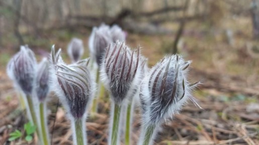 ���������� ����������: � ����������� ����� ������� ���-�����