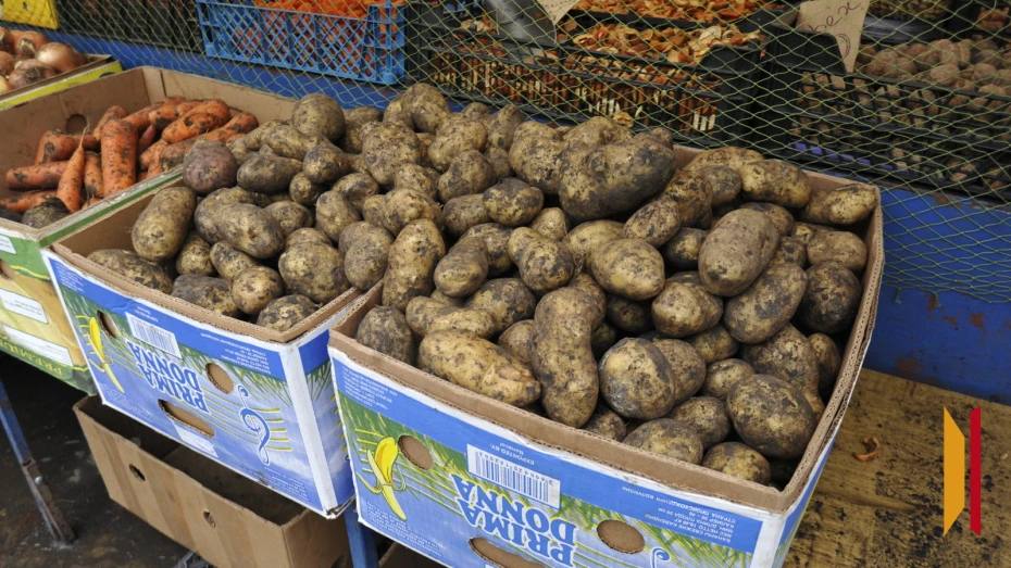 Россиян предупредили о фейке, в котором говорится о повышении налога на посадку картофеля