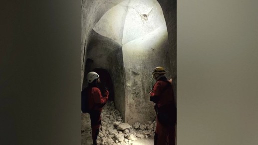 В Дивногорье Воронежской области увеличилось количество летучих мышей