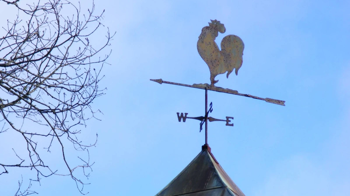 Воронежцев предупредили о предштормовом ветре 7 апреля