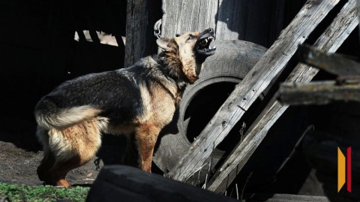 � �������� �� ����� ����������� �� ����� ��������� ������ ������ �� �������