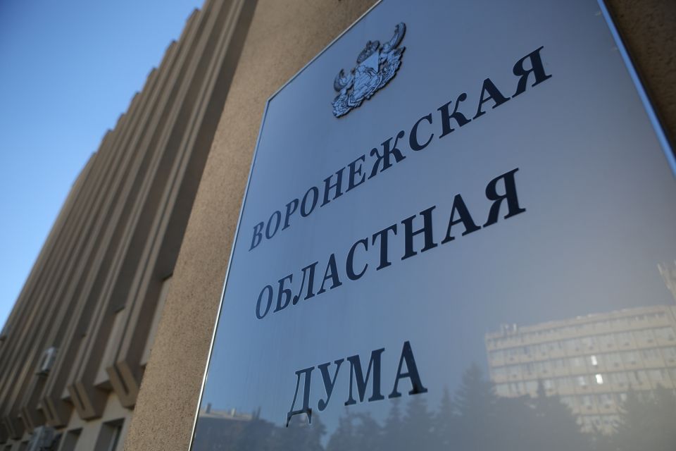 Депутаты Воронежской облдумы инициировали новые выплаты детям с тяжелым генетическим заболеванием