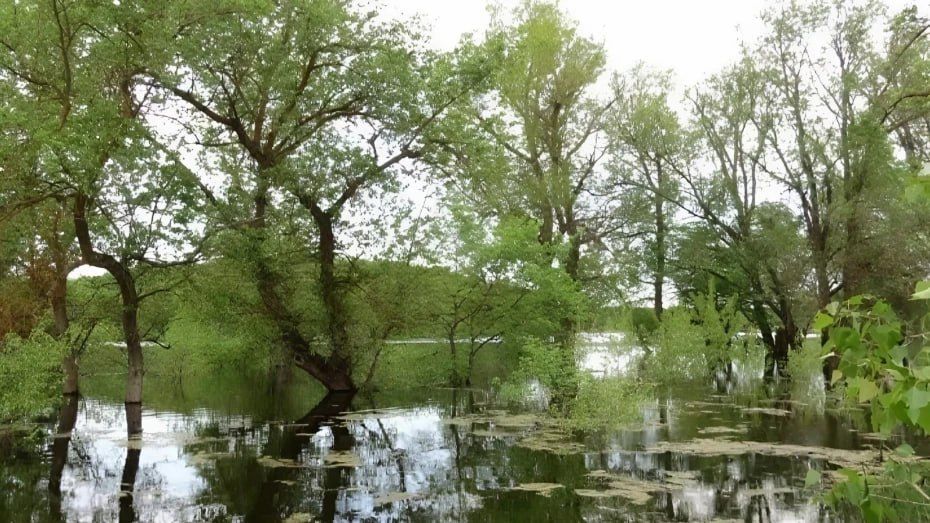 � ��������� ����������� �������� ������� �������� �������� �����