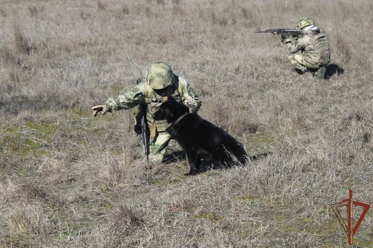 САПЁРЫ РОСГВАРДИИ ЗА МЕСЯЦ ОБЕЗВРЕДИЛИ СВЫШЕ 2600 ВЗРЫВООПАСНЫХ ПРЕДМЕТОВ В ХЕРСОНСКОЙ И ЗАПОРОЖСКОЙ ОБЛАСТЯХ