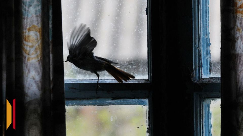 ���������� ����������, ������ �� ������� �������� � ��������� ���� �� ������������