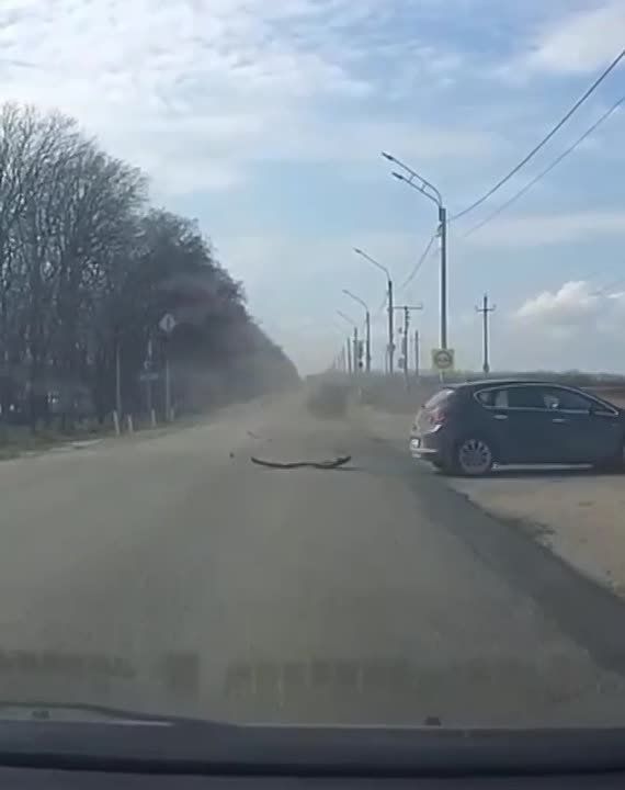 ������ ��� � ��������������� ������� � ��������� ������