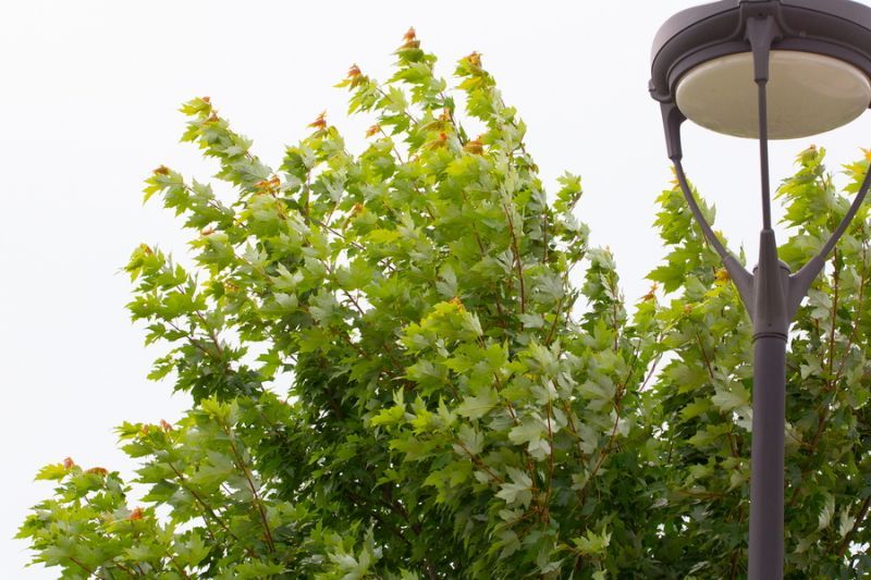 ���������, �����! 7 ������ � ����������� ������� ��������� ������ �� 18 �/�