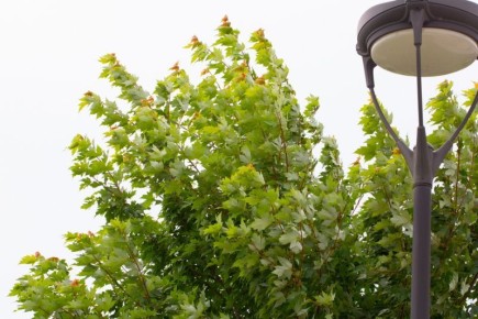 ���������, �����! 7 ������ � ����������� ������� ��������� ������ �� 18 �/�