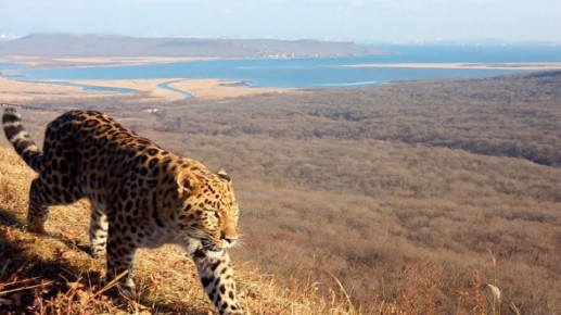 ������� ��� ��� ������� ���������������� ��������. � �������� ���������� �����������