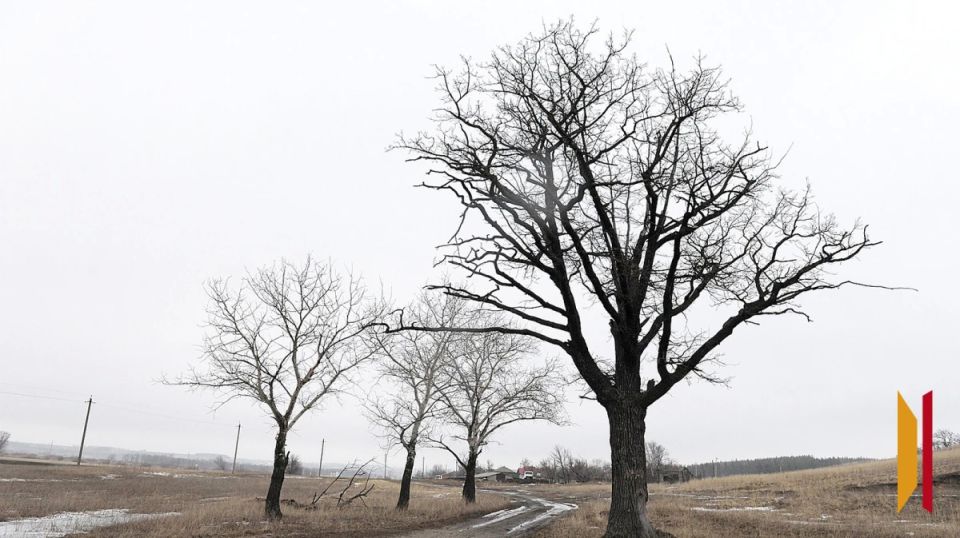 � ����������� ������� 10 ������ ���������� �� -2 �������� � ������ ����