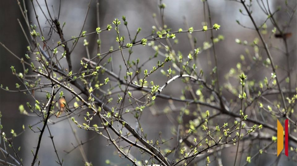 � ������� ����� ����� ������ ����������