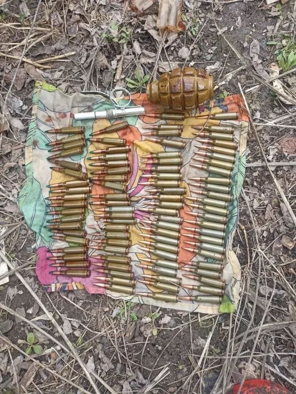 � ������������ ����������� ����� ����� � ���������: ���������� ��������� ����