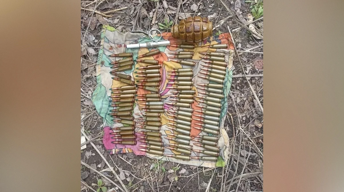 Воронежские полицейские нашли схрон с патронами у собачьей будки в Кантемировке