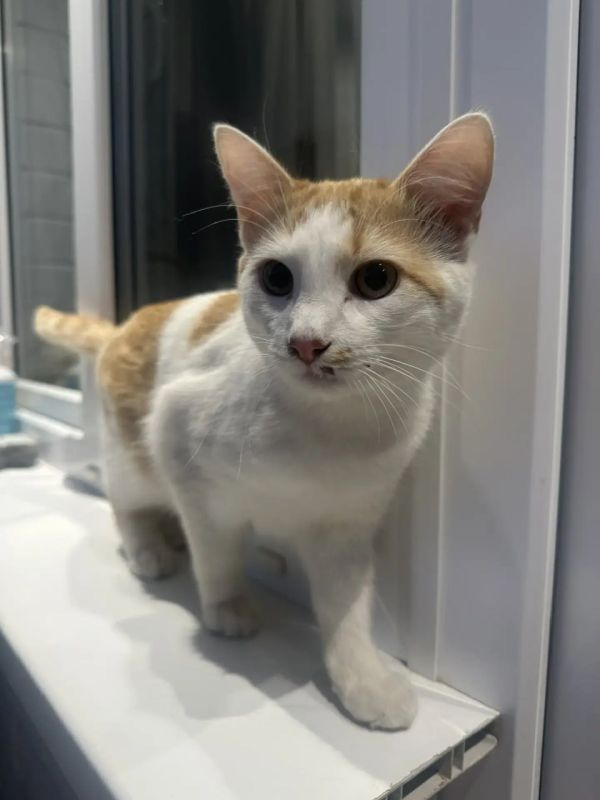 � �������� ����� ������� �� �������� ������