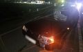 На трассе в Аннинском районе водитель легковушки в темное время суток сбил насмерть 74-летнего местного жителя