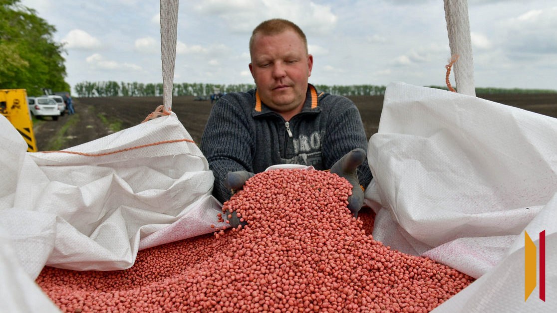 Посевная-2026: воронежские аграрии ждут дождя и компенсируют часть расходов господдержкой