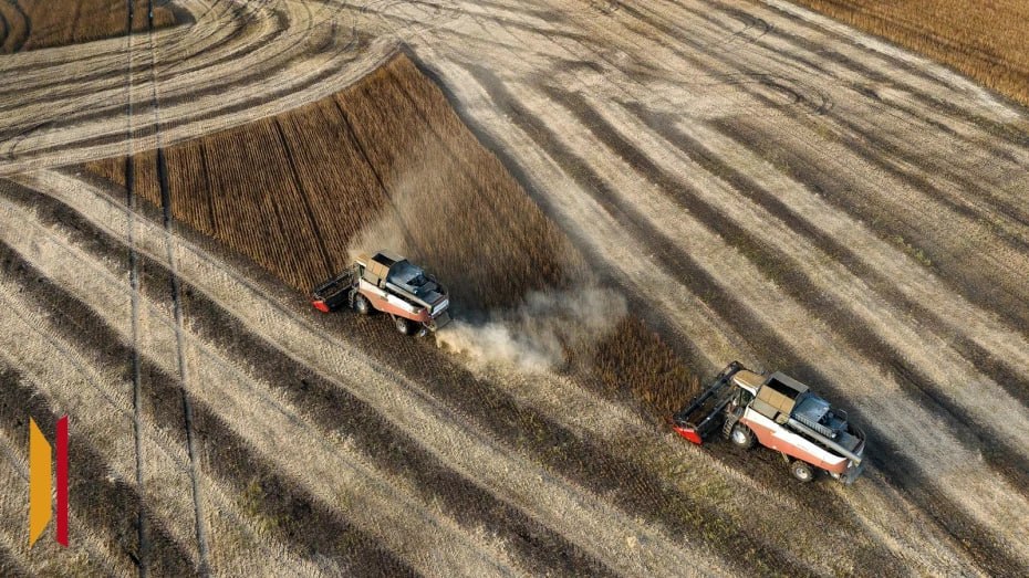 Губернатор Александр Гусев: по производству сельхозпродукции Воронежская область занимает 2 место в России