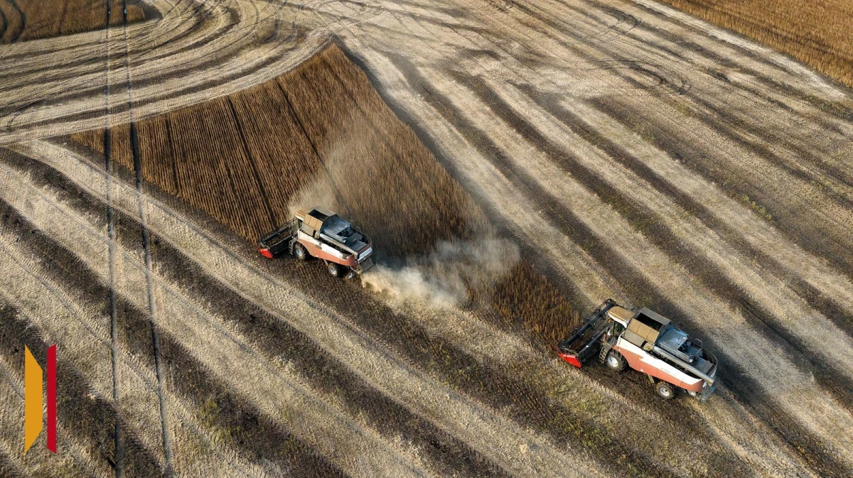 Губернатор Александр Гусев: по производству сельхозпродукции Воронежская область занимает 2 место в России