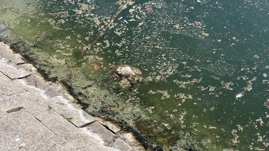 ��������� ������� � ������ � ����� � ����������� ����� ������� � ����