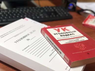 Воронежский адвокат Виктория Стукова помещена под домашний арест