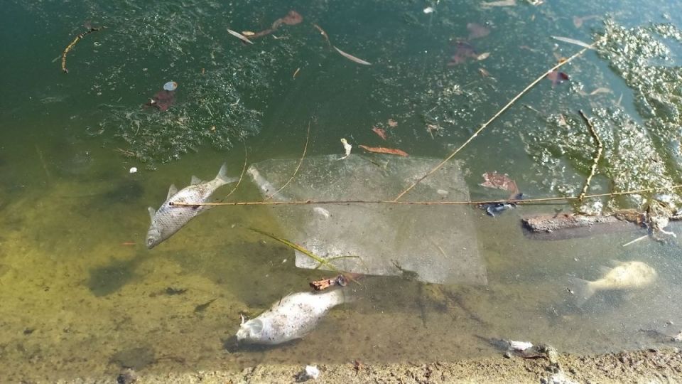 �� ���������� ����� �������� ������������ ������ �������� ����