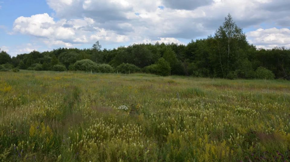 �� ���������� ������������� ����� ��������, �������� � ������ � ����������� ������� �������� 2,7 ��� ������