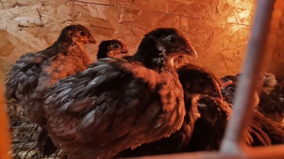 ���� � ������: � ����������� �������� ���������� ������ � ������������ �����������