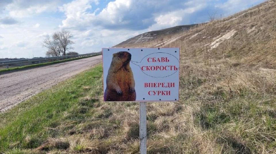 ����������� ��������� ������������ � �������� �� �������