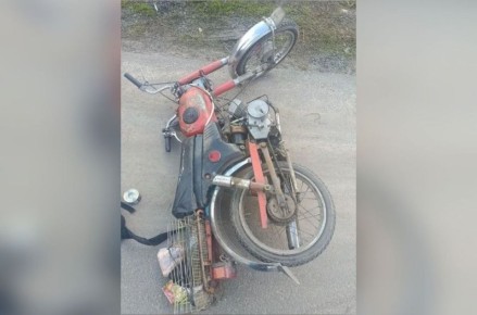 ������� ���������� �� ��������� ����������� � �������� ��� 14-������ ���������� ������������ ���