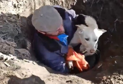 ТОП самых ярких событий ЦФО: любовь внука Пугачевой, коварная дверь, укус жеребенка, собака в колодце и дрон в ноге