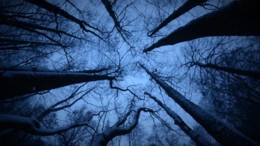 ���������� � �������� 72-������� ������� ����� ������� � ����