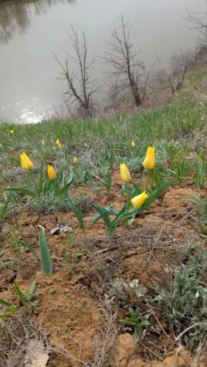 � ��������� ����������� ������ ������������� ������� ������