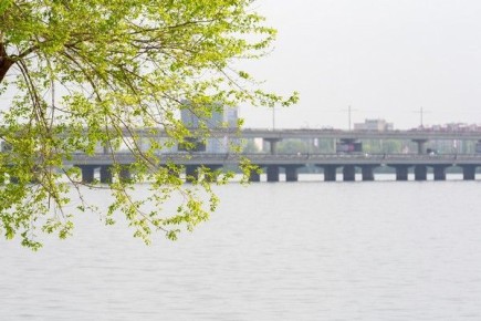 ����������� ������� ������� ���������� �����. ������ ���������� �� 16 ��������