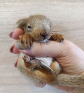 ������������� ��������� ������ ��������� �� ������