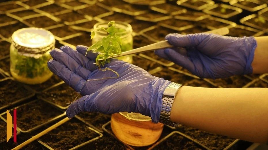 � ����������� ������� ��������� ���������� ��� ���������� � ����� ��������� ���������