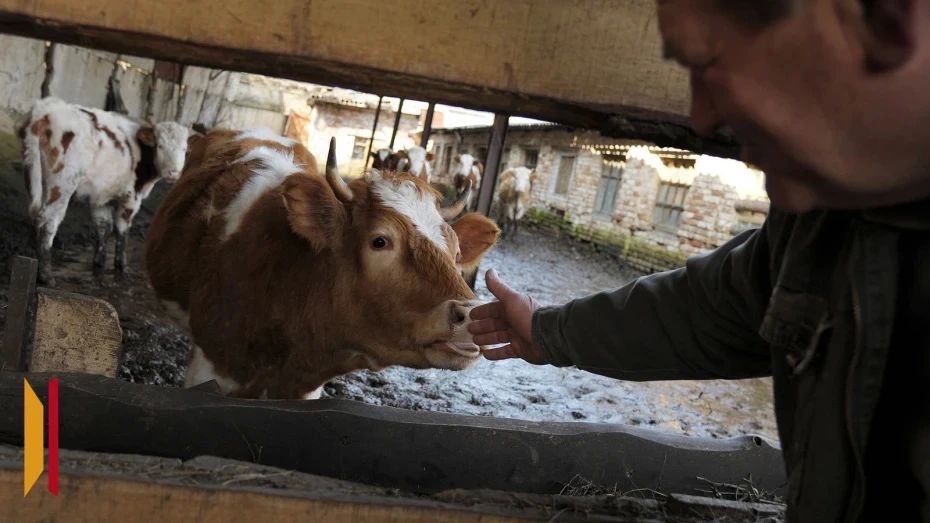 ��������� ����: ��� ����������� ������� �������� �� ������������