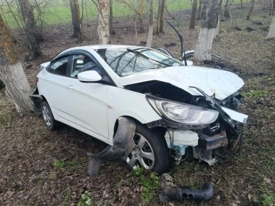 В Панинском районе сотрудники Госавтоинспекции устанавливают обстоятельства съезда автомобиля с дороги