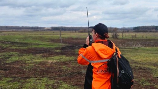 В Воронежской области планируют усилить взаимодействие с поисковым отрядом «ЛизаАлерт»