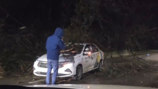 � �������� ������ ������� �� �����: �����